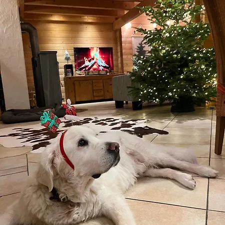 Vakantiehuis Luxus Blockhaus - Panoramablick, Direkt Am Skilift *